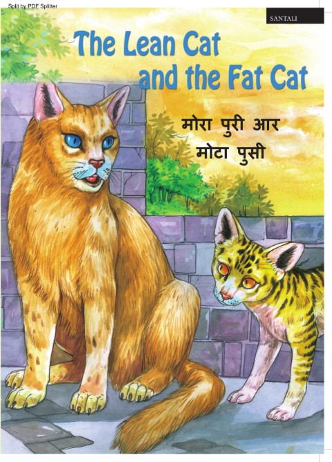 The Lean Cat and the Fat Cat